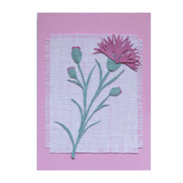 ruiskaunokki-kukkakortti